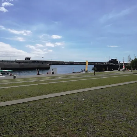 The Editory Garden Carmo