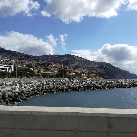 The Editory Garden Carmo