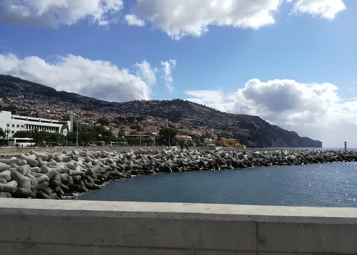 The Editory Garden Carmo