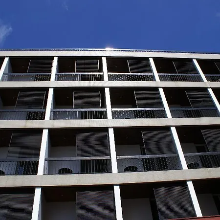 The Editory Garden Carmo