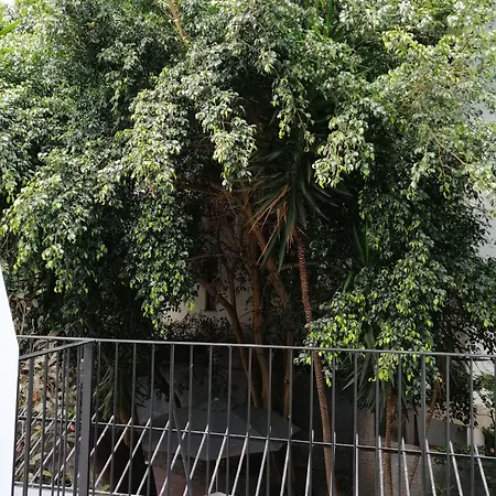 The Editory Garden Carmo Hotel