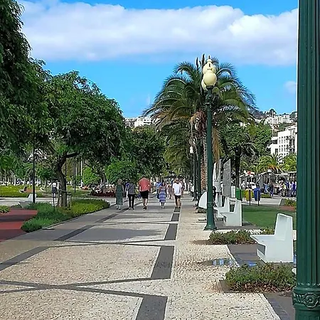The Editory Garden Carmo
