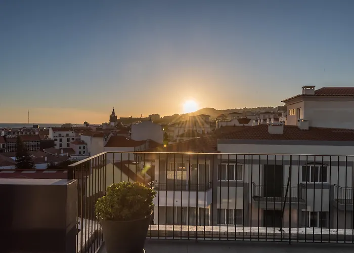 The Editory Garden Carmo