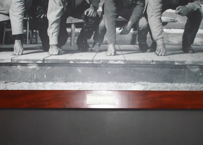 The Editory Garden Carmo Φουνκάλ