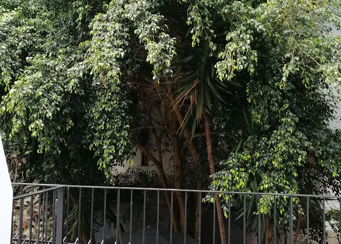 The Editory Garden Carmo Hotel