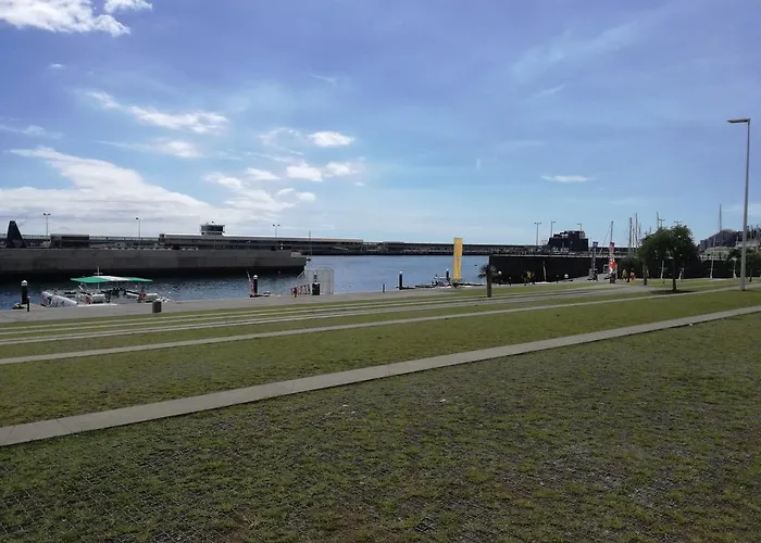 The Editory Garden Carmo