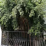 The Editory Garden Carmo Отель