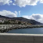 The Editory Garden Carmo