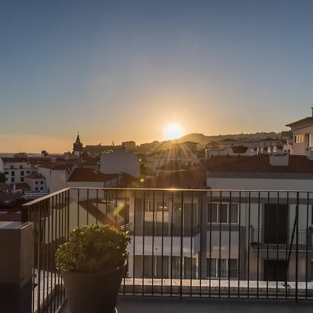 The Editory Garden Carmo