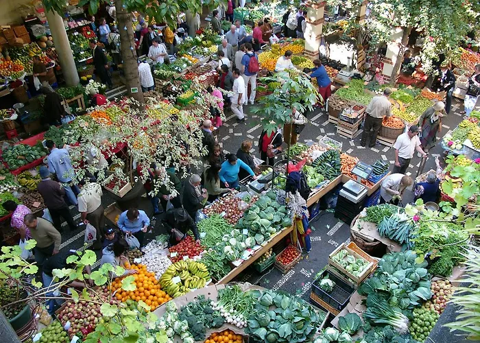 The Editory Garden Carmo